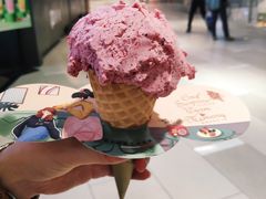 杨梅冰淇淋-野人先生现做冰淇淋(北京环宇荟店)