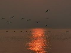 -那香海钻石沙滩浴场