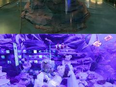 -成都泰迪熊博物馆