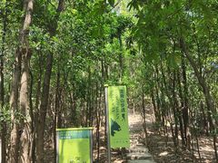 -南山植物园