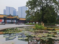 -莲花池公园