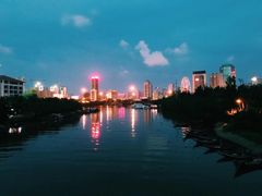 -万绿园