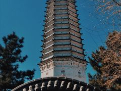 -舍利塔滩地公园-无垢净光舍利塔