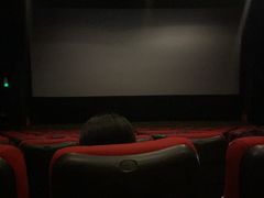 -嘉华国际影城(学清路店)