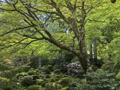 -三千院