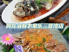 -三亚亚特兰蒂斯度假区