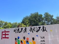 -1982农场