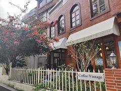 -溪岸路花鸟市场