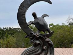 -广东惠东海龟国家级自然保护区