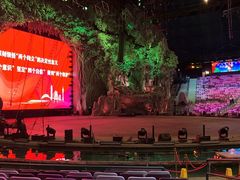 -广州长隆国际大马戏