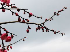 -杭州六谷生态休闲农庄有限公司