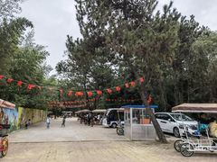 -日照海滨国家森林公园