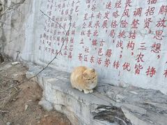 -抱犊寨风景区