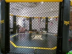 -FLARE STAR FITNESS(复地活力城店)