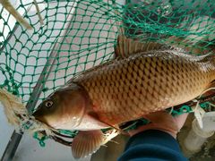 -官厅老勾渔馆(温泉店)