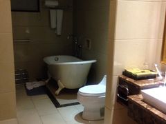 -圣爵菲斯大酒店(长沙世界之窗店)