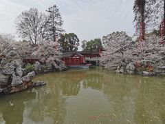 -陇上秦轩biangbiang面(萧山万象汇店)