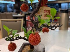 -椿记烧鹅(叠彩店)
