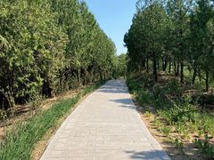 -白水寺森林公园