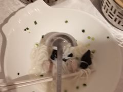 -南海渔村(珠江新城店)