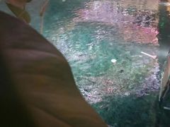 -长沙富力万达文华酒店