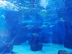 -多彩贵州城极地海洋世界