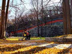 -阳台山自然风景区