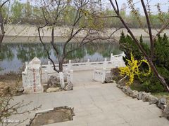 -桃花堤公园