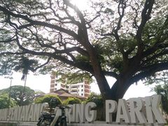 景观位-阿龙榴莲摊