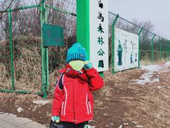 -长白岛森林公园