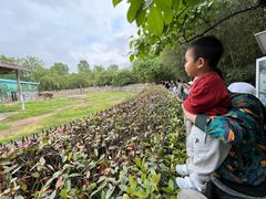 -西安秦岭野生动物园