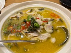 -海派美食·家宴海鲜青岛菜·石锅鲽鱼头(东方城店)