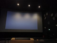 -百美汇影城(LUXE嘉里中心店)