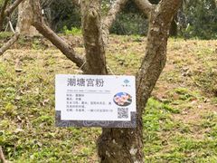 -广州市白云山风景名胜区