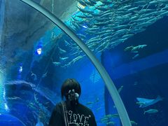 -波塞冬海底世界