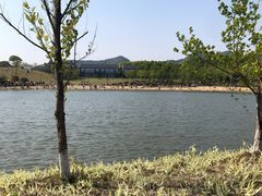 -湘湖金融镇