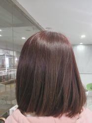 -镁连社·美联社