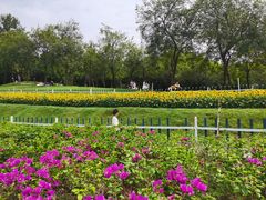 -紫马岭公园