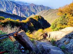 -秦岭终南山世界地质公园翠华山景区