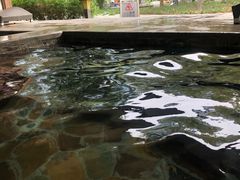 -中家鑫园温泉酒店鑫悦汤泉