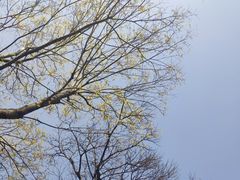 -高老庄新家宴(北斗星广场店)