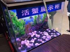-胖哥俩肉蟹煲(湛江印象汇店)