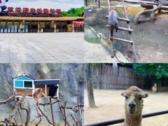 -杭州野生动物世界