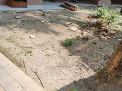 -海珠儿童公园