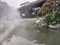 -广富林宰相府酒店·水云间