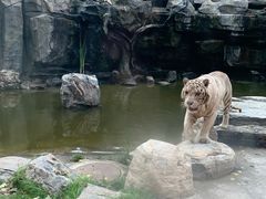 -北京野生动物园