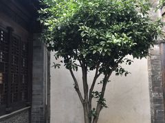 -芥子园