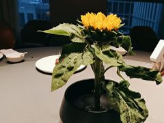 -小厨娘淮扬菜(河西奥美大厦店)