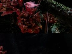 -沈阳海洋探索中心