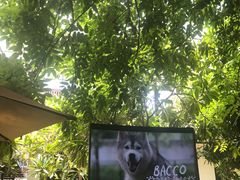 -TrueLove @ Neverland (Husky Cafe)